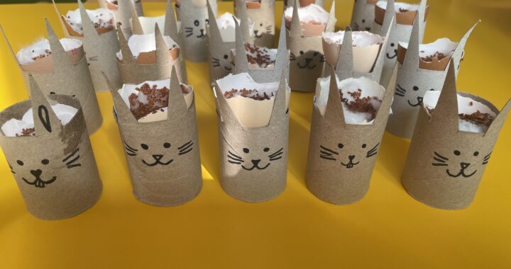 Dzieci sieją rzeżuchę