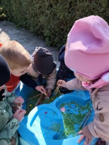 Dzieci bawią się przy baseniku sensorycznym wypełnionym barwionym na zielono makaronem, filcowymi kwiatkami i kolorowymi pomponami