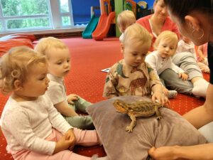 Chłopiec delikatnie dotyka Agamę.