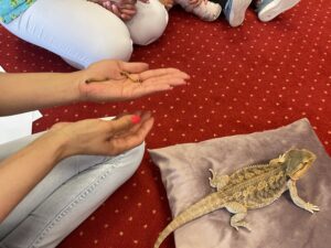 Dzieci oglądają jaszczurkę
