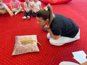 Dzieci podczas warsztatów przyrodniczych poznają agamę brodatą, obserwują ją z bliska i uczestniczą w zajęciach edukacyjnych w sali żłobkowej.