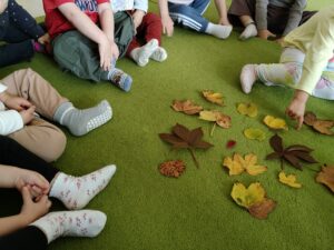 Dzieci oglądają przyniesione liście.