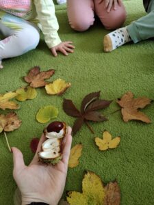 Dzieci obserwują kasztana w łupince.